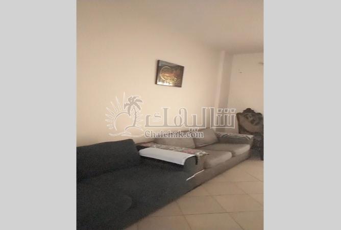 8135525 - صورة العقار 3