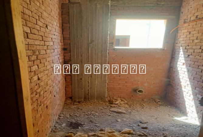 7955142 - صورة العقار 3