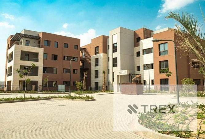 6884602 - صورة العقار 3