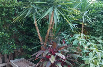 شقة - 2 غرف نوم - 1 حمام للايجار في شارع ام كلثوم - الرحاب المرحلة الثالثة - الرحاب - مدينة القاهرة الجديدة - القاهرة