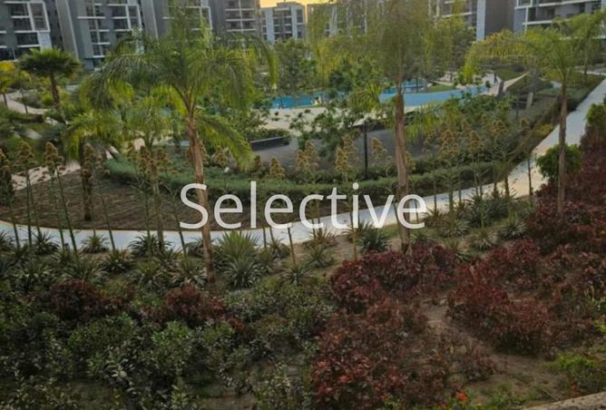 8286795 - صورة العقار 3