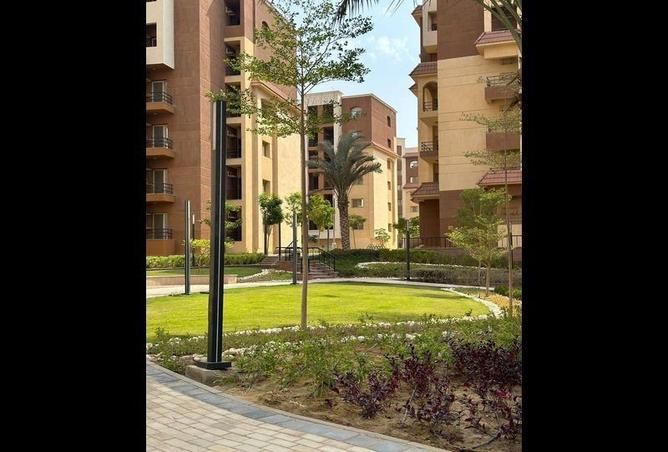 8147623 - صورة العقار 3