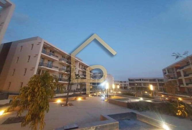 7993116 - Property Image 3
