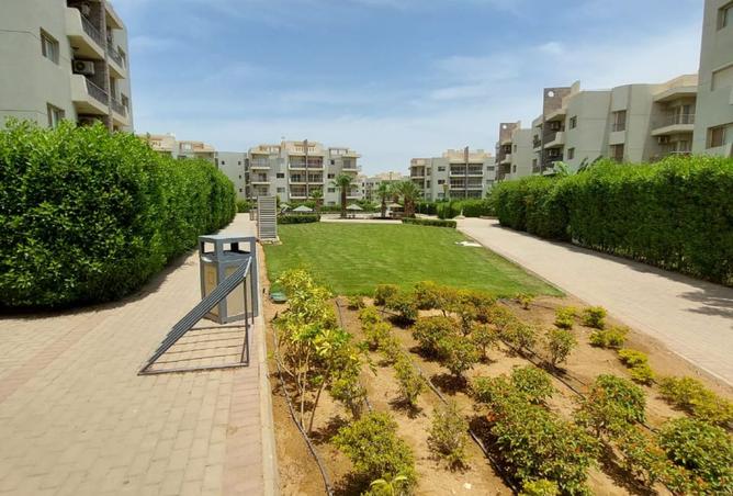 8078344 - صورة العقار 3