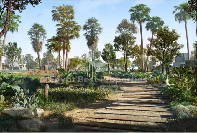 8302494 - Property Image 3