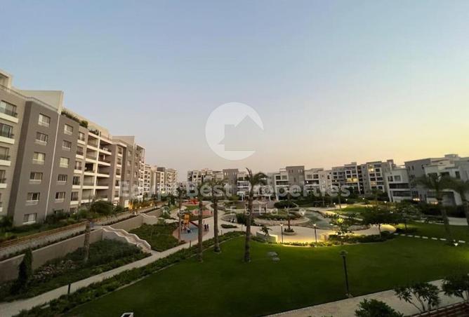 8058029 - صورة العقار 3
