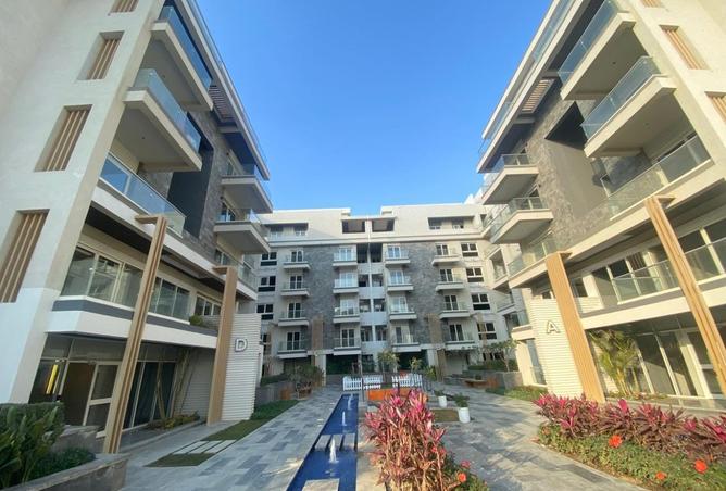 8539337 - Property Image 3