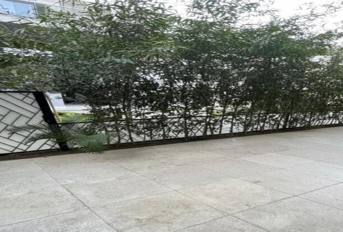 8431187 - صورة العقار 2