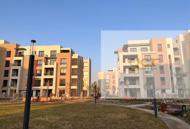 7081901 - Property Main Image