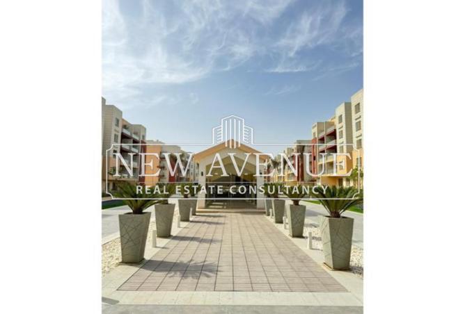 8019618 - Property Image 3