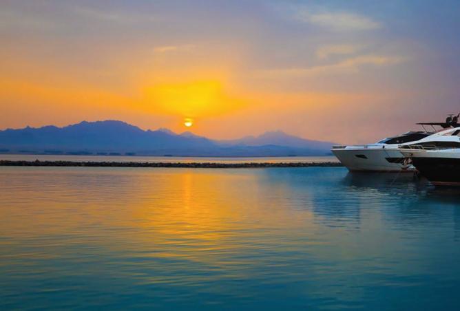 8211948 - صورة العقار 3