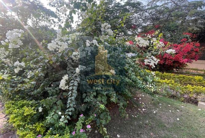 8404083 - Property Main Image