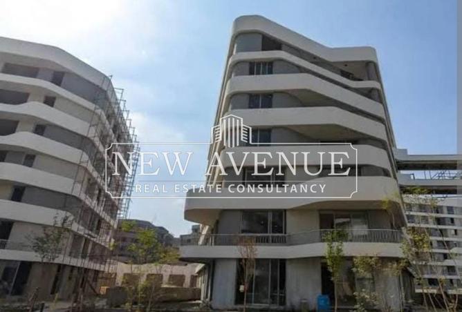 8282574 - Property Image 3