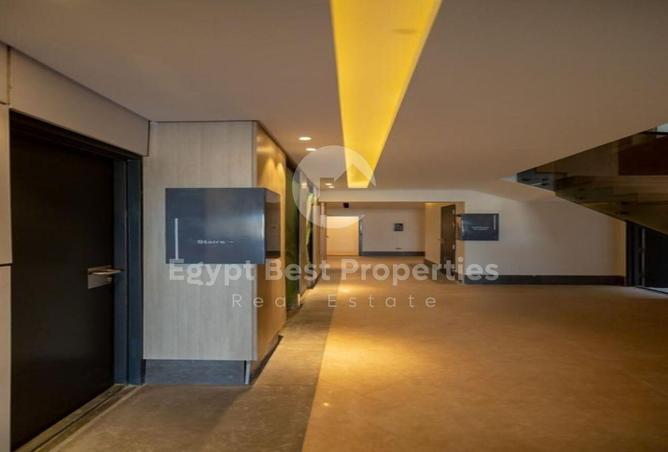 8058234 - Property Image 3