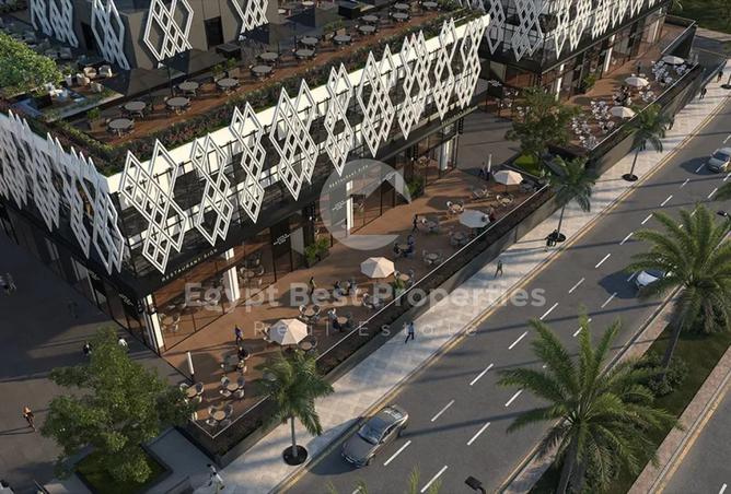 8238831 - Property Image 3