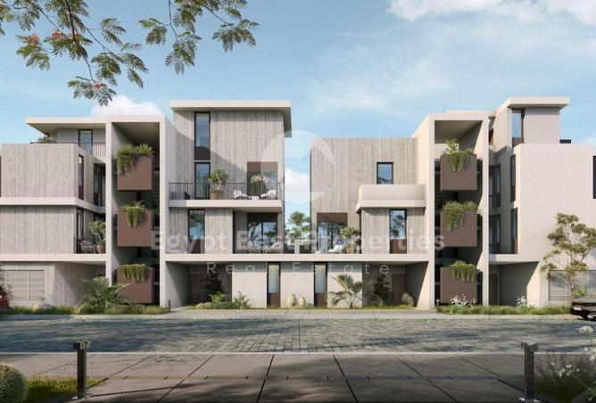 8243634 - Property Image 3