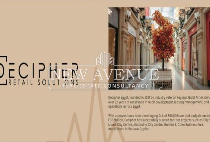 8097048 - Property Image 3