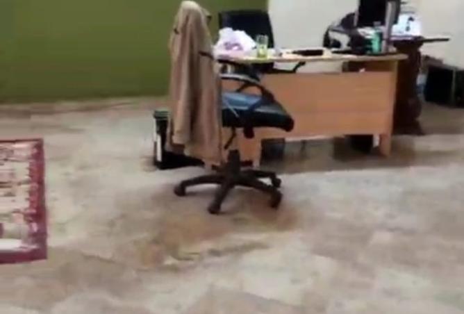 8456147 - صورة العقار 3