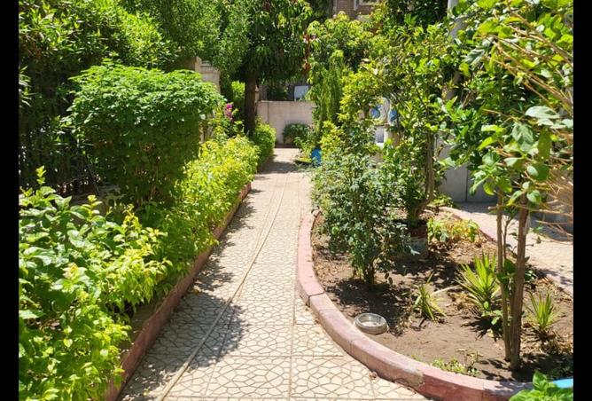 8442154 - صورة العقار 3