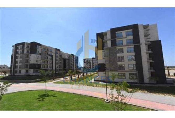 7995290 - صورة العقار 2