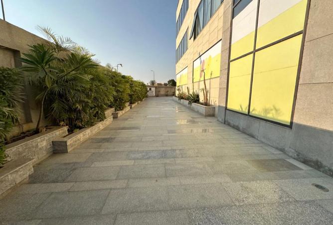 8166772 - Property Image 2