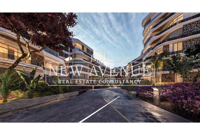 8138509 - Property Image 3