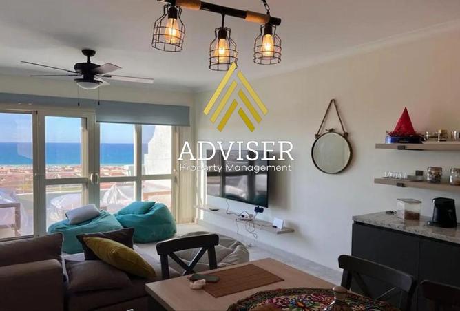 7895042 - Property Image 2