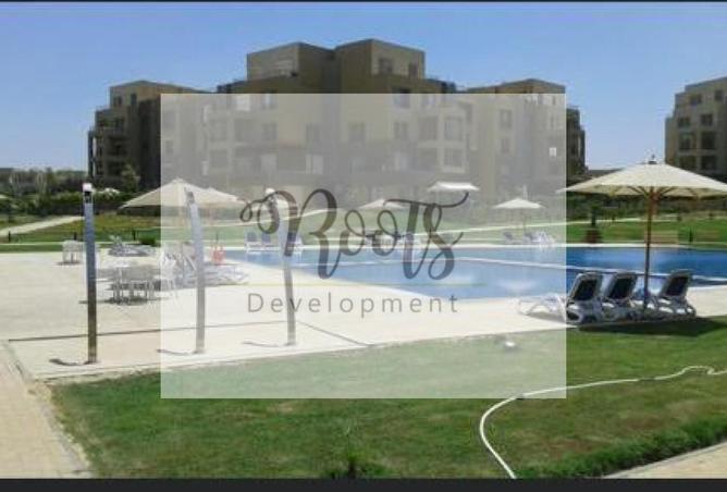 7942317 - Property Image 3