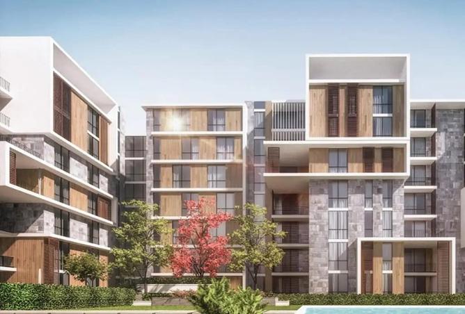7979995 - Property Image 3