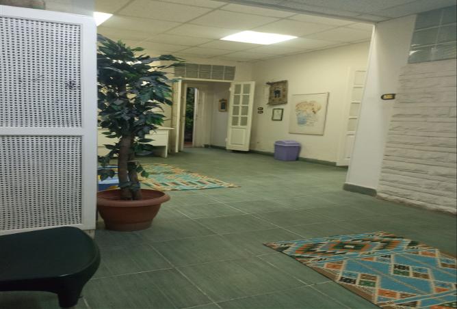 7985424 - Property Image 3