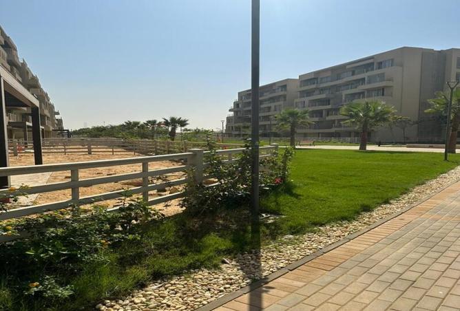 8534119 - صورة العقار 3