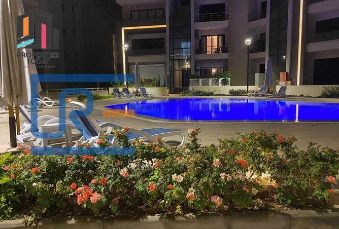 8432312 - Property Image 3