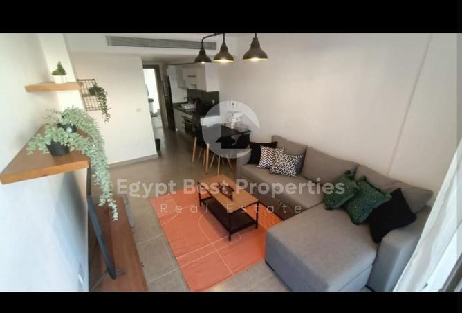 8131460 - Property Image 3