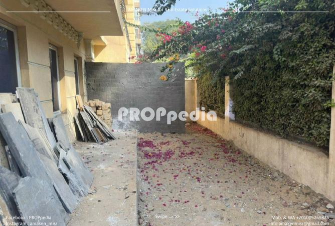 8025672 - Property Image 3