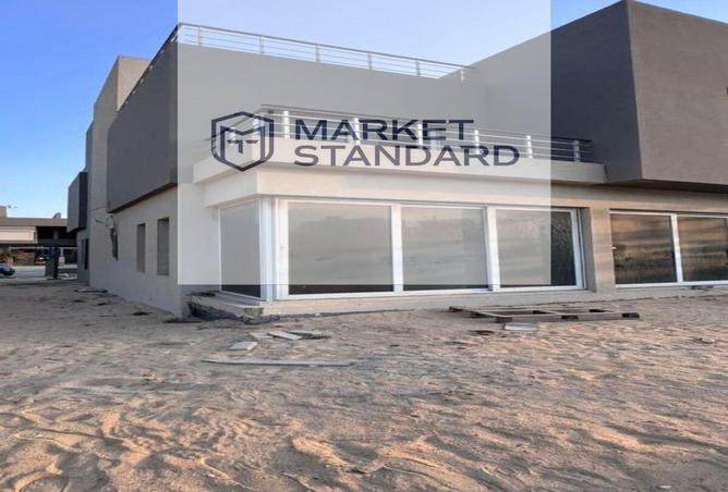 8292817 - Property Image 3