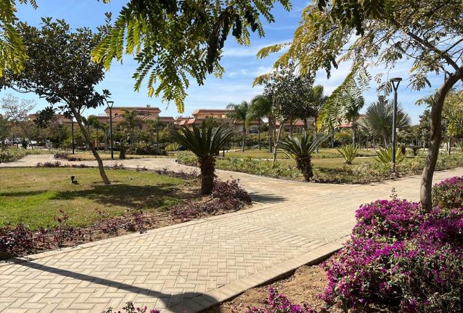 8373673 - صورة العقار 3