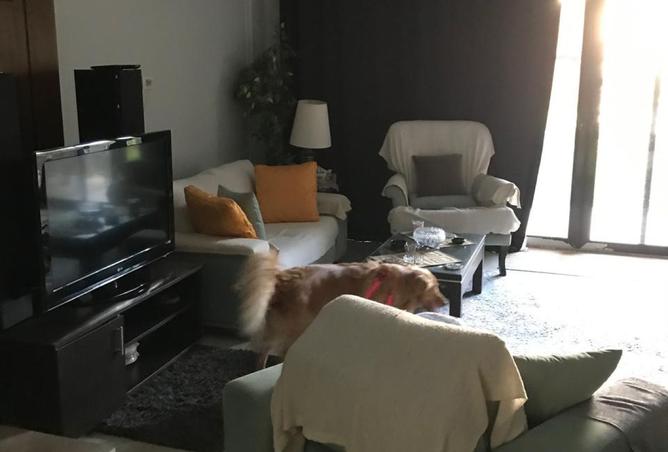 8339512 - Property Main Image