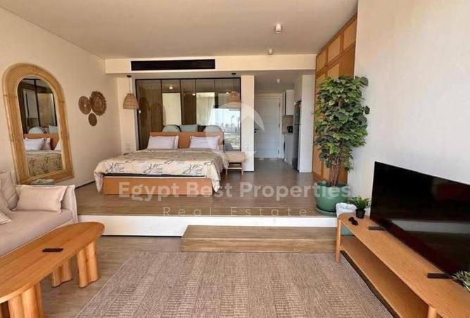 8431675 - Property Image 3