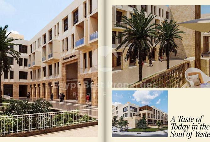 8361857 - Property Image 3