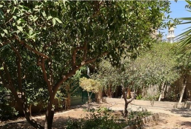 8515453 - صورة العقار 2