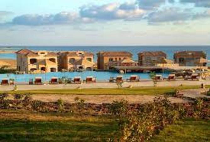 7995278 - صورة العقار 3