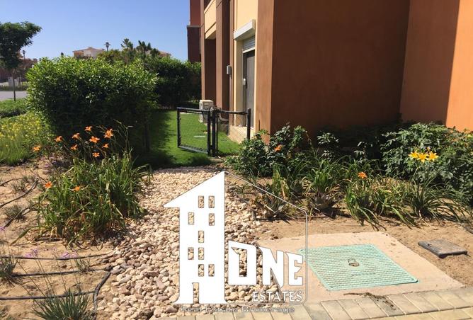 8341627 - Property Image 2