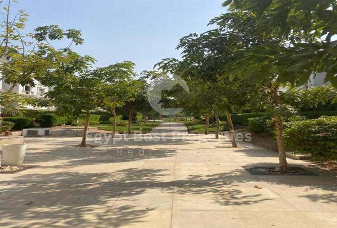 8295411 - صورة العقار 3