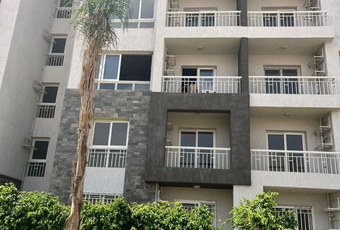 8525326 - Property Image 2