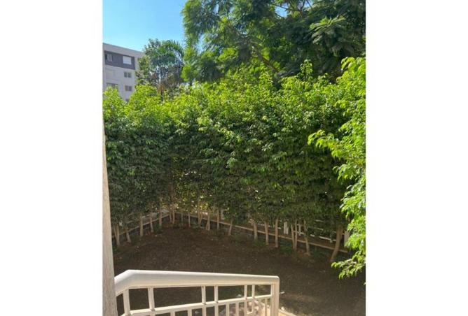 8183818 - Property Image 3