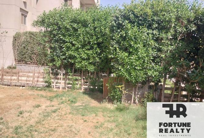 8489806 - Property Image 2