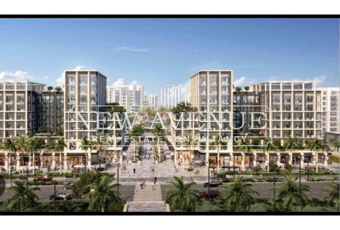 8222656 - Property Image 3