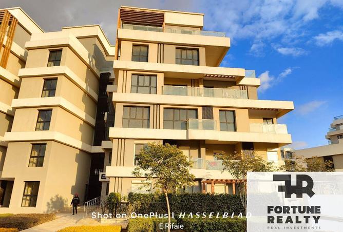 8341624 - Property Image 3