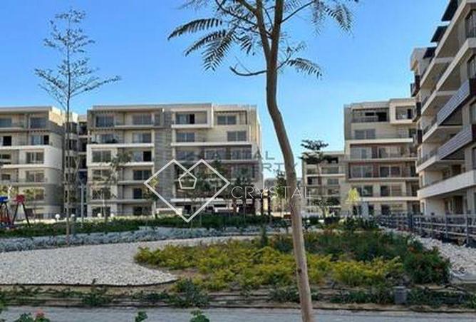 8225063 - صورة العقار 3