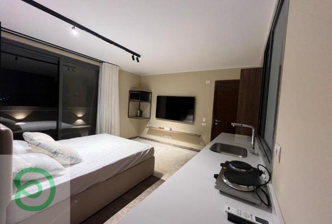 8267597 - Property Image 3